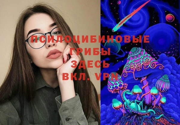 мдпв Армянск